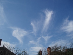 Angels in the Sky!  Our back garden March 2011